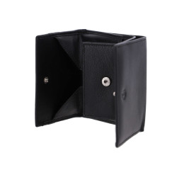 CESARE BRINIOLLI DENARNICA MOŠKA SARDEGNA